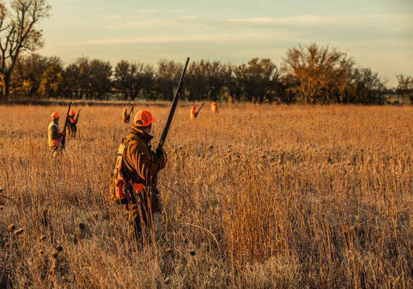 Guide to Choosing Pheasant Loads for Your Next Hunt